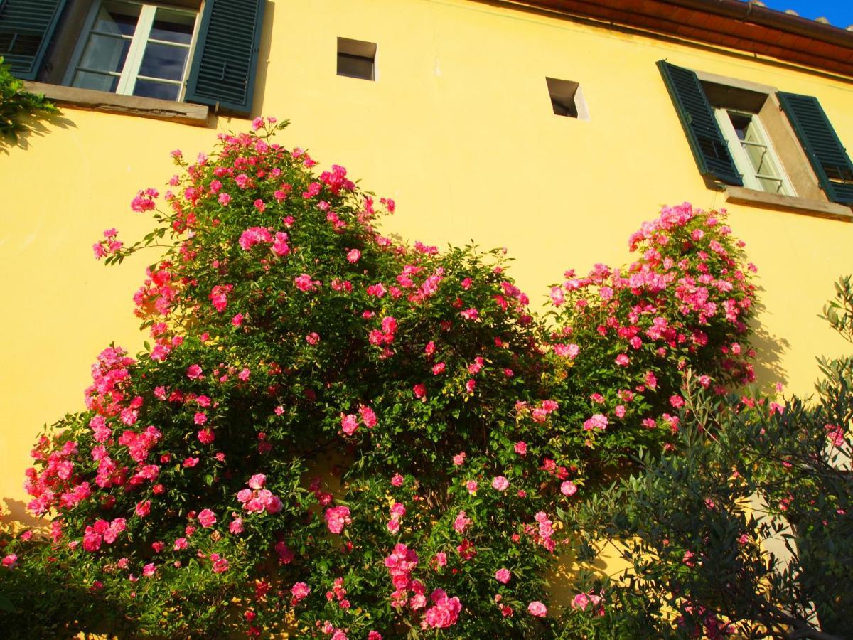 Il Sole Del Sodo Pensionat Cortona Exteriör bild