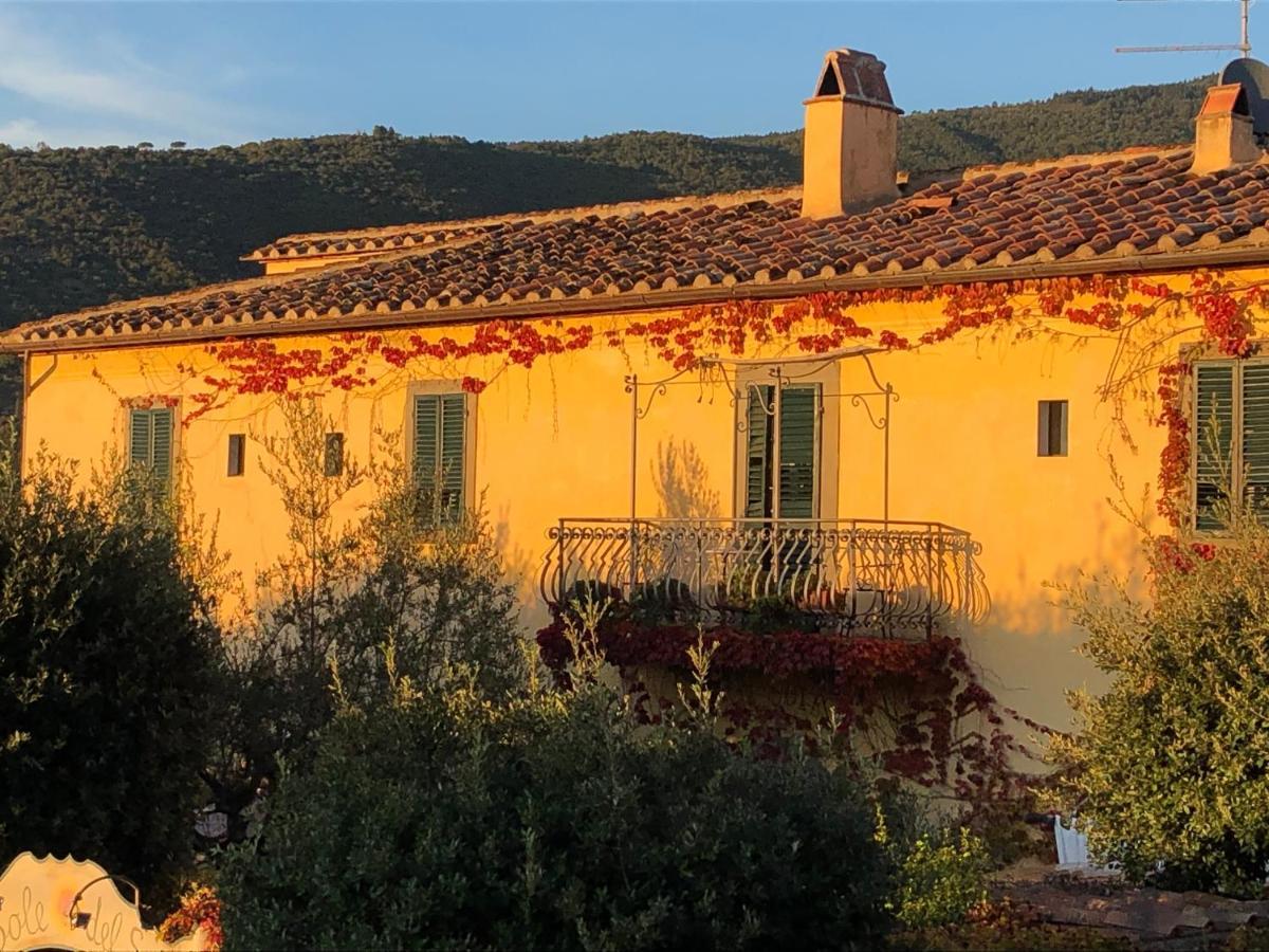 Il Sole Del Sodo Pensionat Cortona Exteriör bild