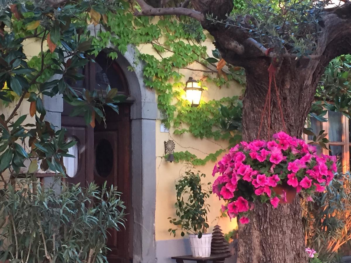 Il Sole Del Sodo Pensionat Cortona Exteriör bild