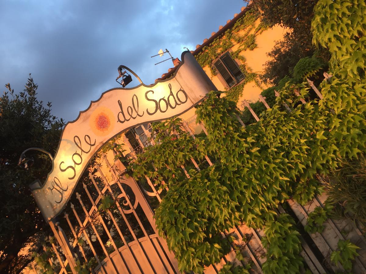 Il Sole Del Sodo Pensionat Cortona Exteriör bild