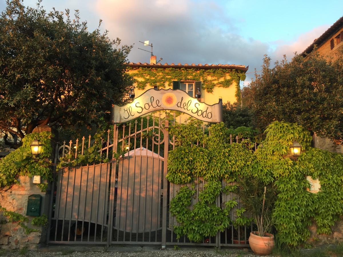 Il Sole Del Sodo Pensionat Cortona Exteriör bild