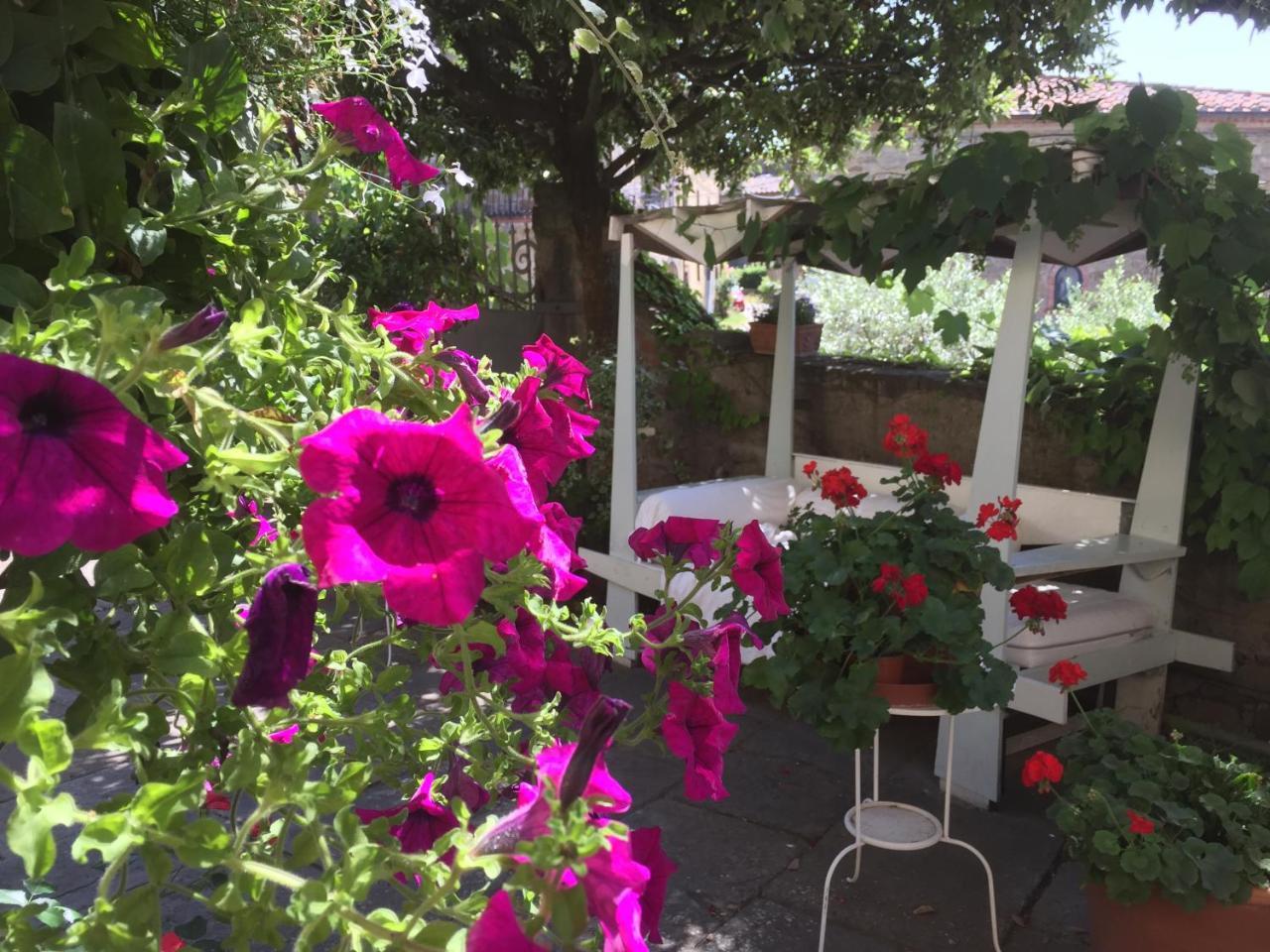 Il Sole Del Sodo Pensionat Cortona Exteriör bild