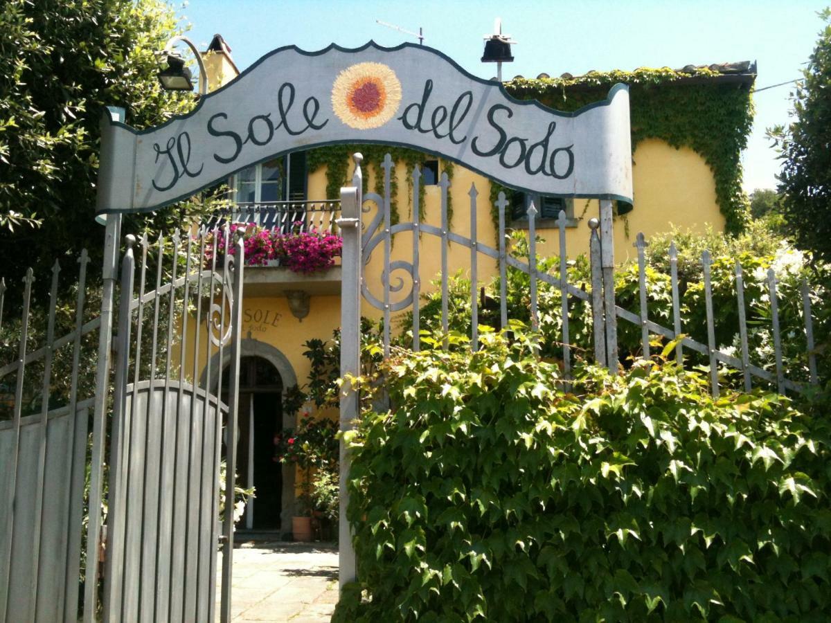 Il Sole Del Sodo Pensionat Cortona Exteriör bild